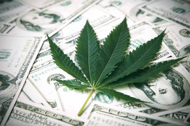 Featured image for post: 4 Reasons to Hire a Cannabis Accountant