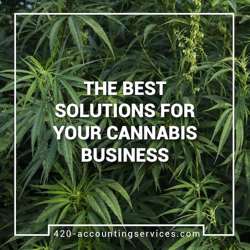 The best solutions for your cannabis business